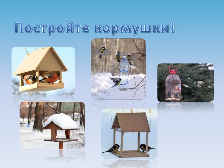 Презентация на тему "Зимующие птицы"