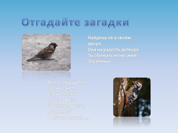 Презентация на тему "Зимующие птицы"
