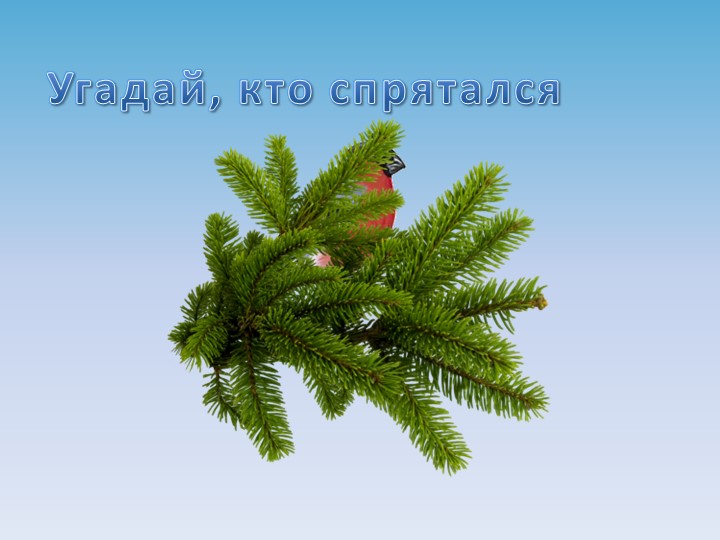 Презентация на тему "Зимующие птицы"