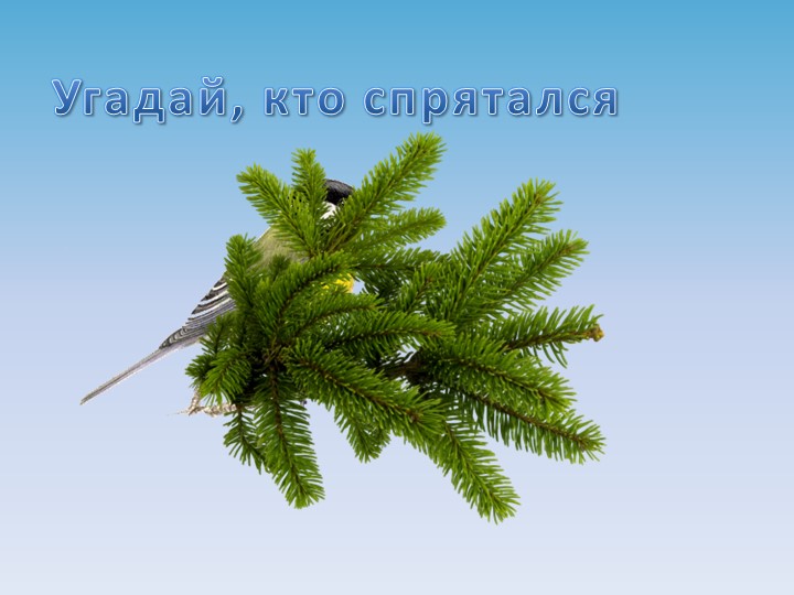 Презентация на тему "Зимующие птицы"