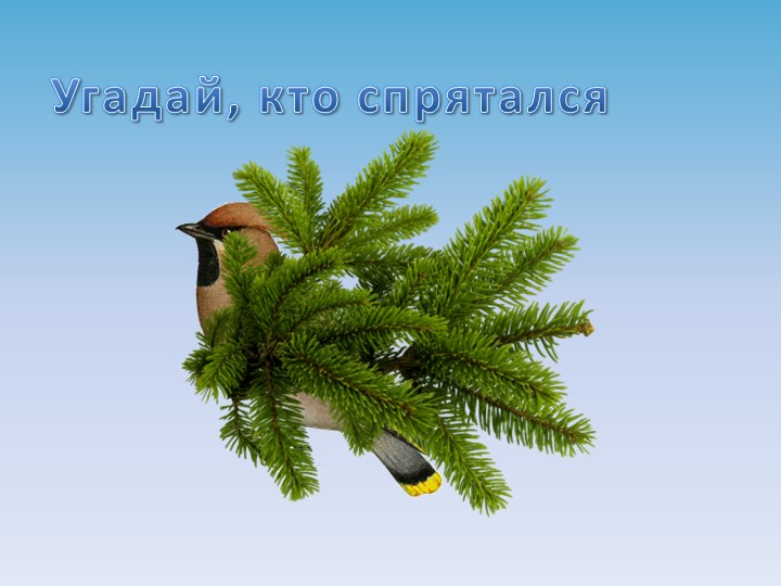 Презентация на тему "Зимующие птицы"