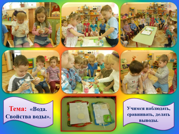 Презентация проекта "У нас в нескучном саду" в средней группе