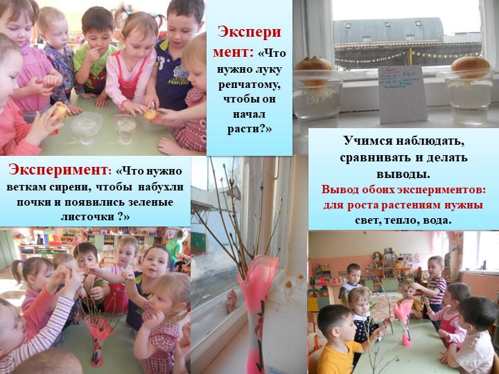 Презентация проекта "У нас в нескучном саду" в средней группе