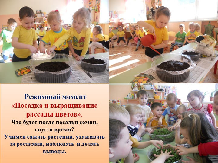 Презентация проекта "У нас в нескучном саду" в средней группе