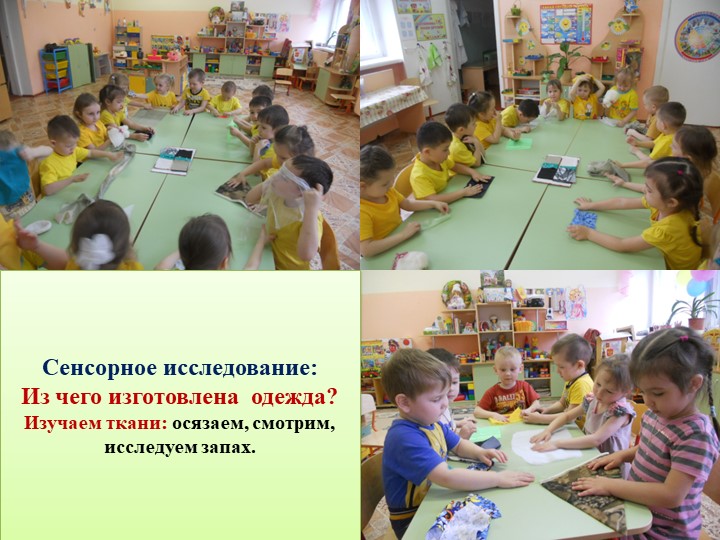 Презентация проекта "У нас в нескучном саду" в средней группе