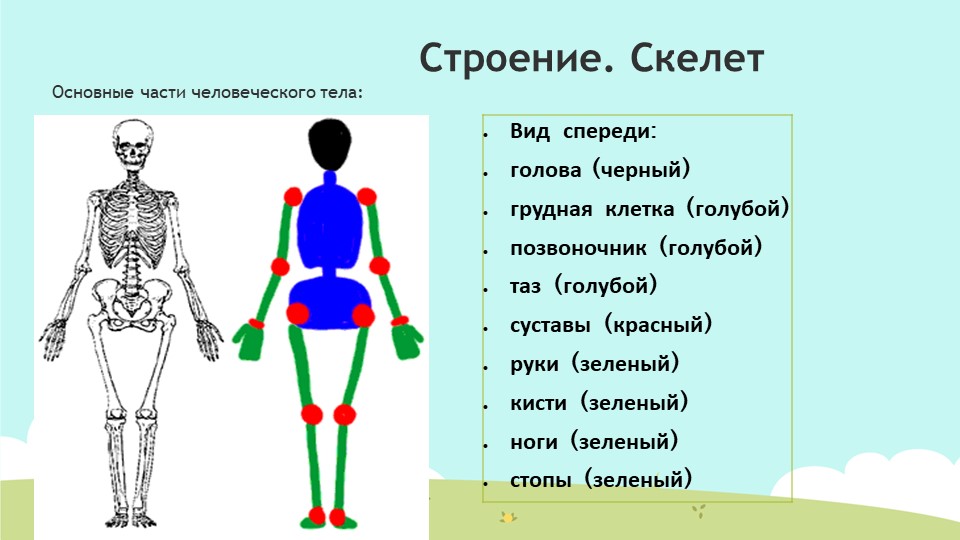 Презентация для воспитетелей доу "Рисуем человека"