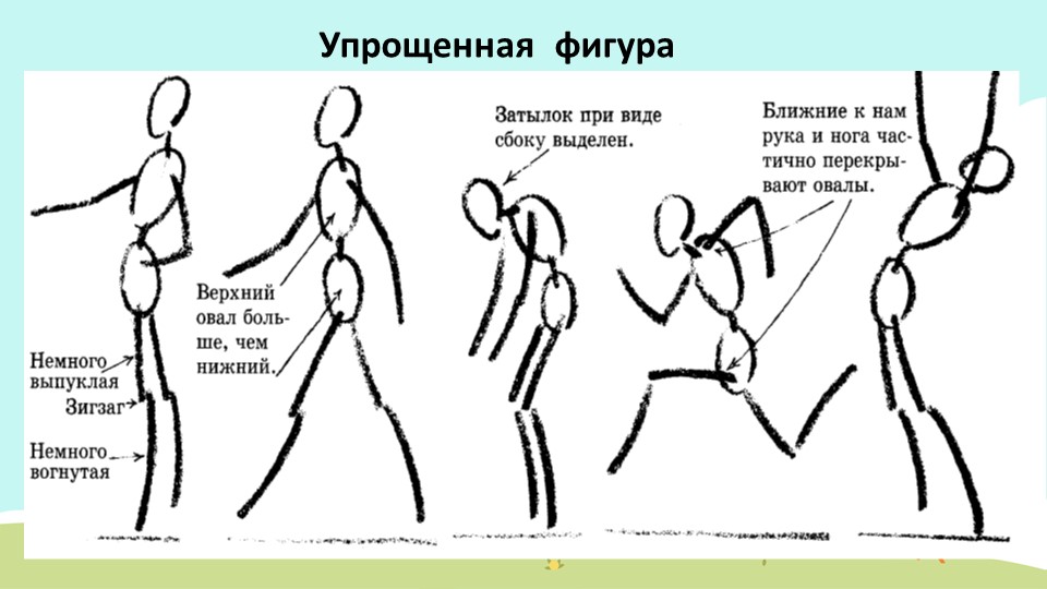 Презентация для воспитетелей доу "Рисуем человека"