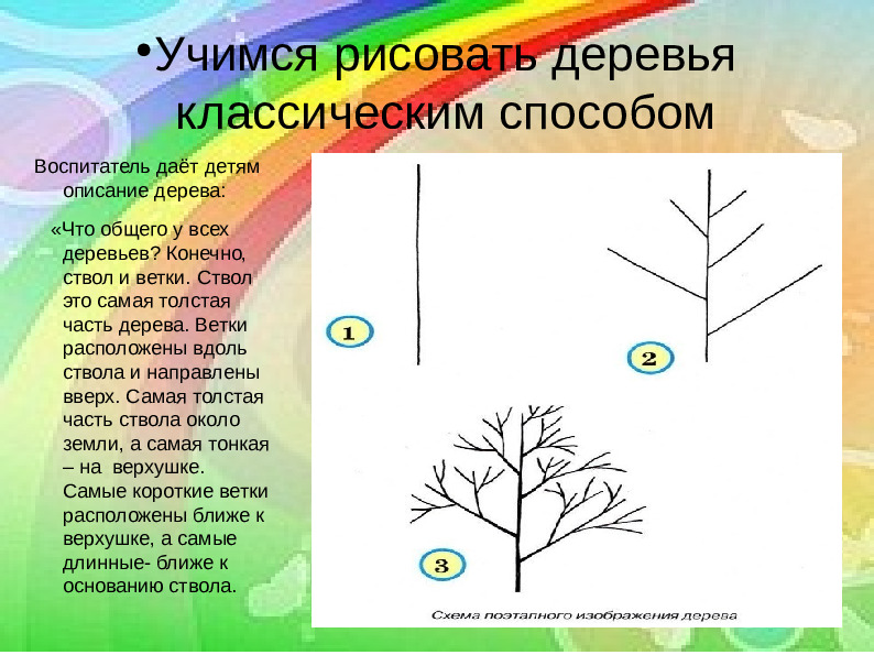 Презентация рисуем деревья. Схема рисования дерева в старшей группе. Этапы рисования дерева для дошкольников. Последовательное рисование дерева. Схемы рисования деревьев для дошкольников.