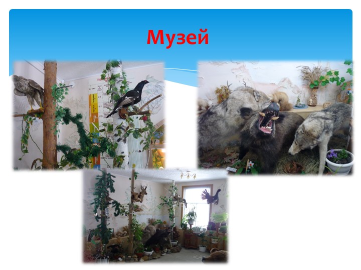 "Удивительное рядом: история улиц, история города"