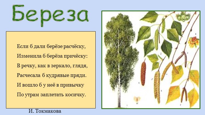 Презентация для воспитателей ДОУ "Деревья"