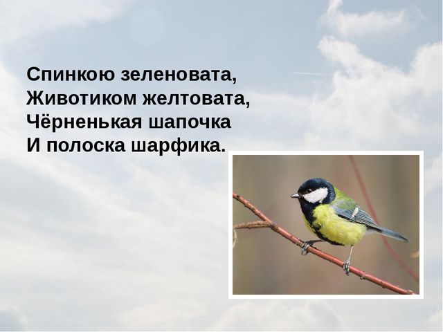 Зимующие птицы. Презентация для детей