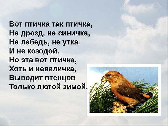 Зимующие птицы. Презентация для детей