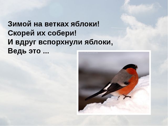 Зимующие птицы. Презентация для детей