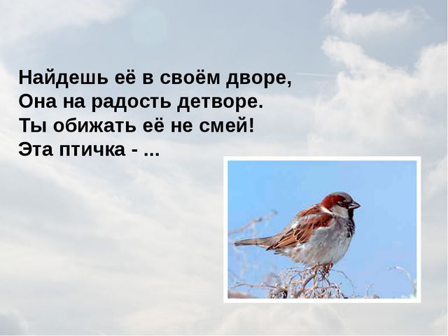 Зимующие птицы. Презентация для детей
