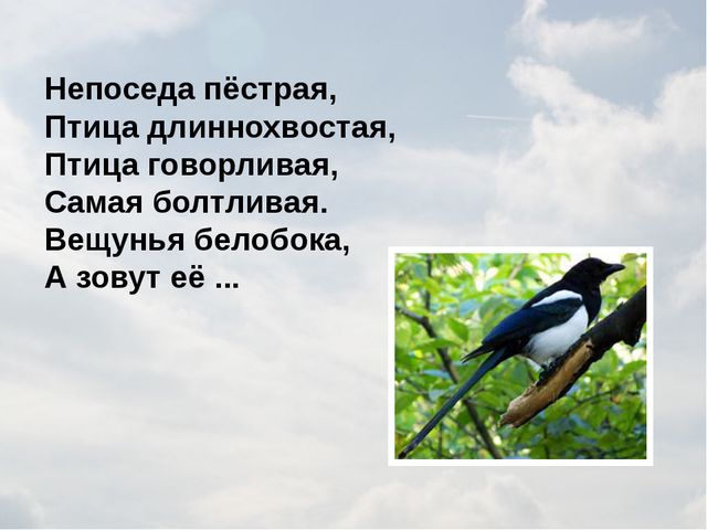 Зимующие птицы. Презентация для детей