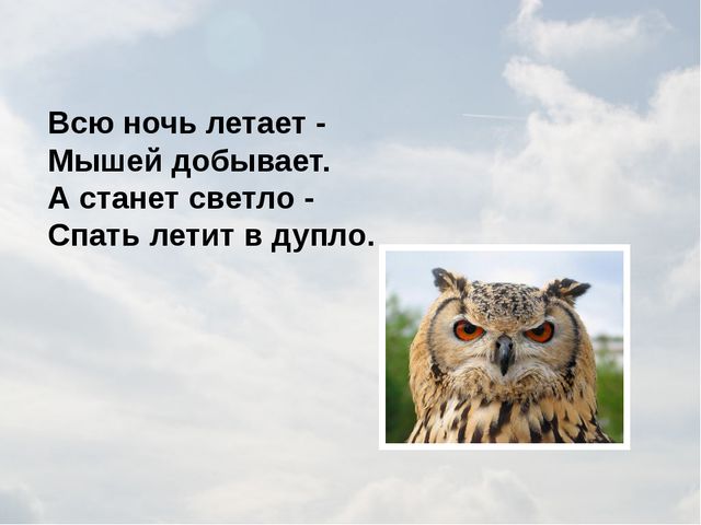 Зимующие птицы. Презентация для детей