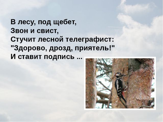 Зимующие птицы. Презентация для детей