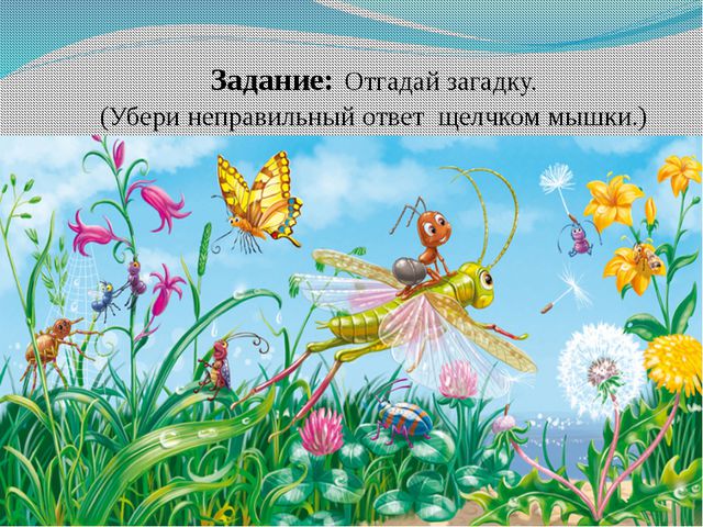 Презентация для детей. Насекомые