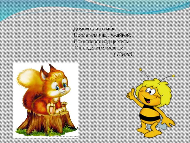 Презентация для детей. Насекомые
