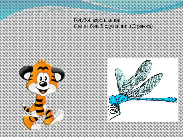 Презентация для детей. Насекомые