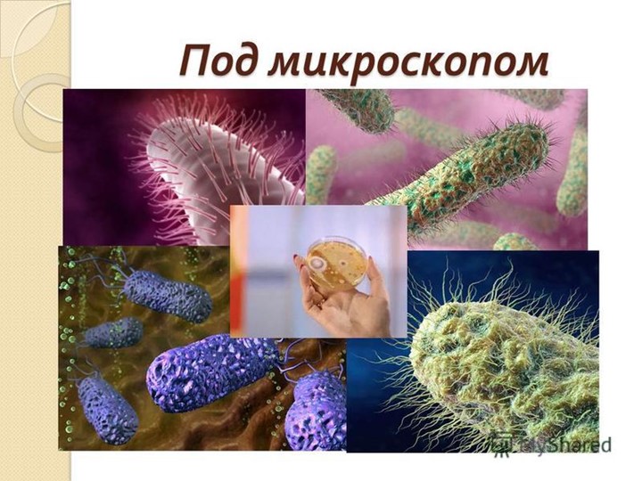 Презентация ЗОЖ "Уроки Мойдодыра"