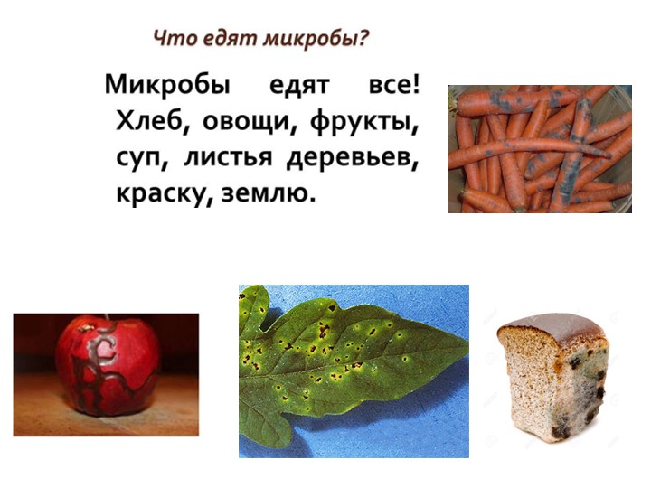 Презентация ЗОЖ "Уроки Мойдодыра"