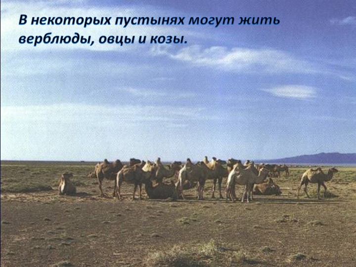 Об экологии дошкольникам с ОНР