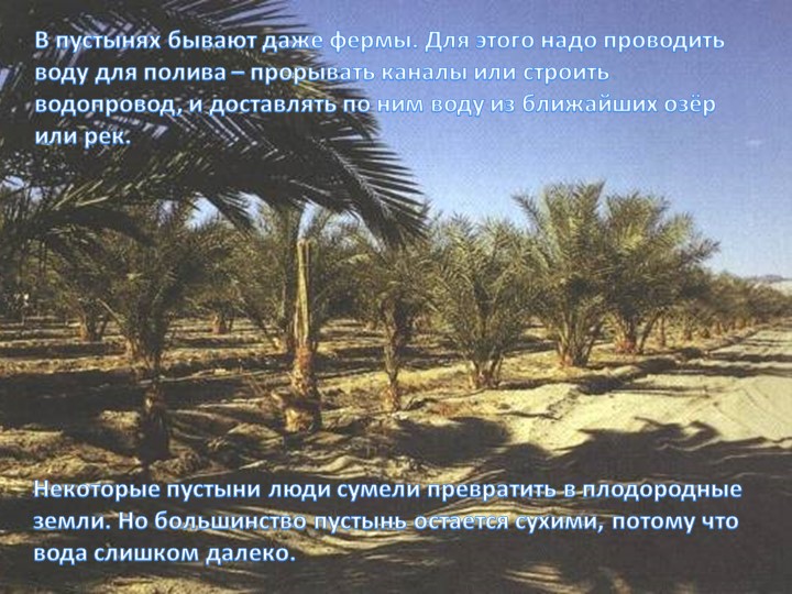 Об экологии дошкольникам с ОНР
