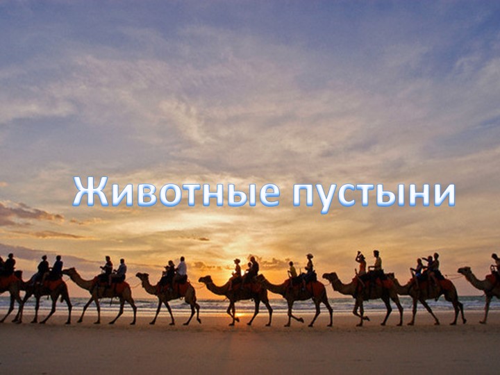 Об экологии дошкольникам с ОНР
