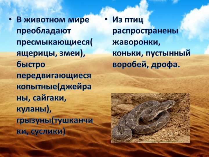 Об экологии дошкольникам с ОНР
