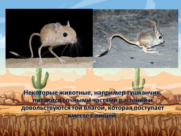 Об экологии дошкольникам с ОНР