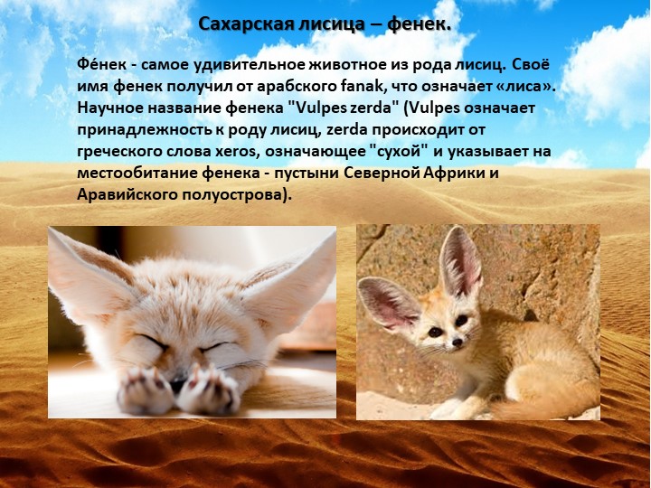 Об экологии дошкольникам с ОНР