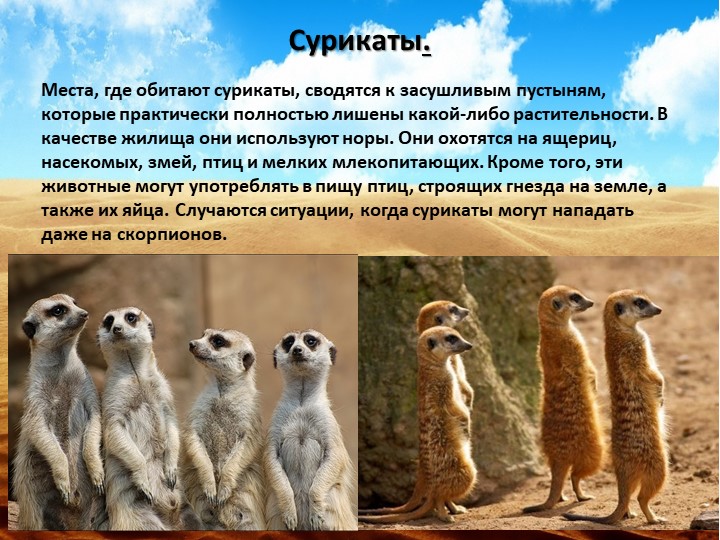 Об экологии дошкольникам с ОНР