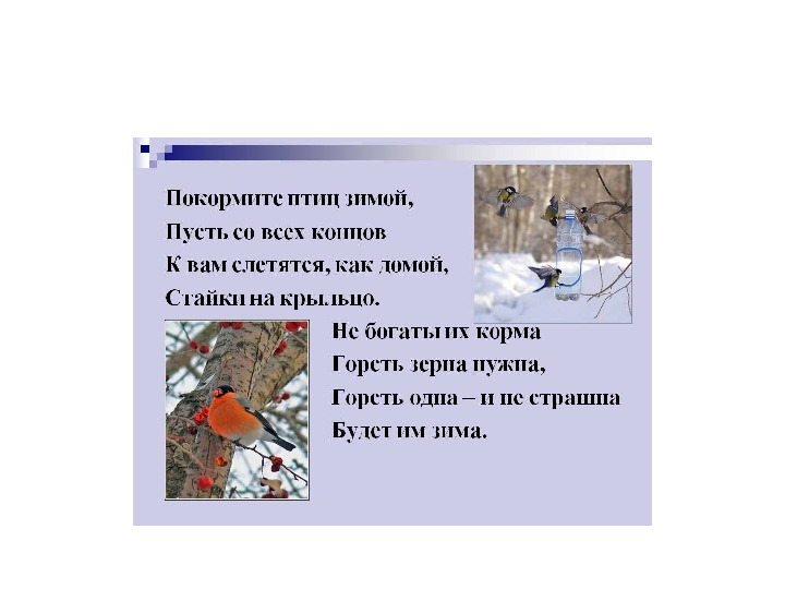 Презентация на тему Зимующие птицы для дошкольников