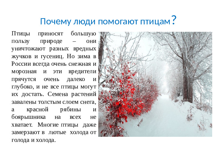 Презентация на тему Зимующие птицы для дошкольников