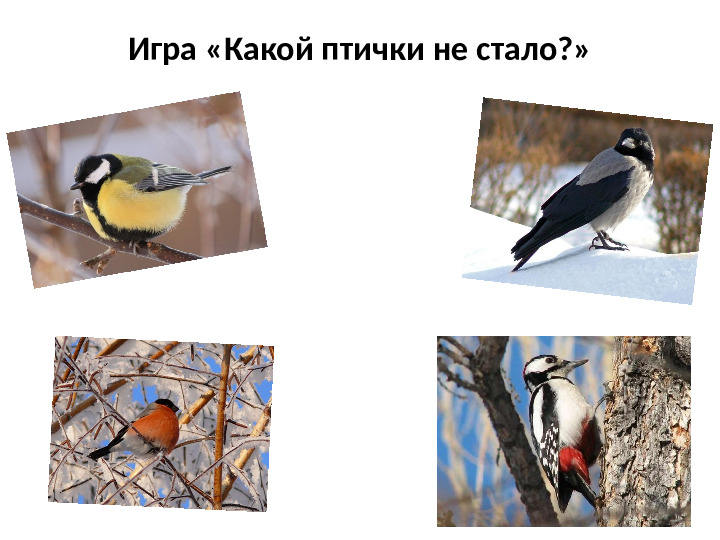 Презентация на тему Зимующие птицы для дошкольников