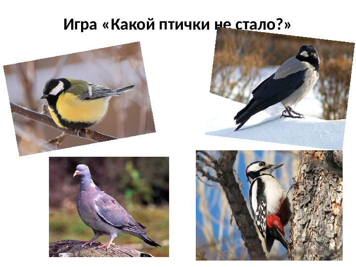Презентация на тему Зимующие птицы для дошкольников
