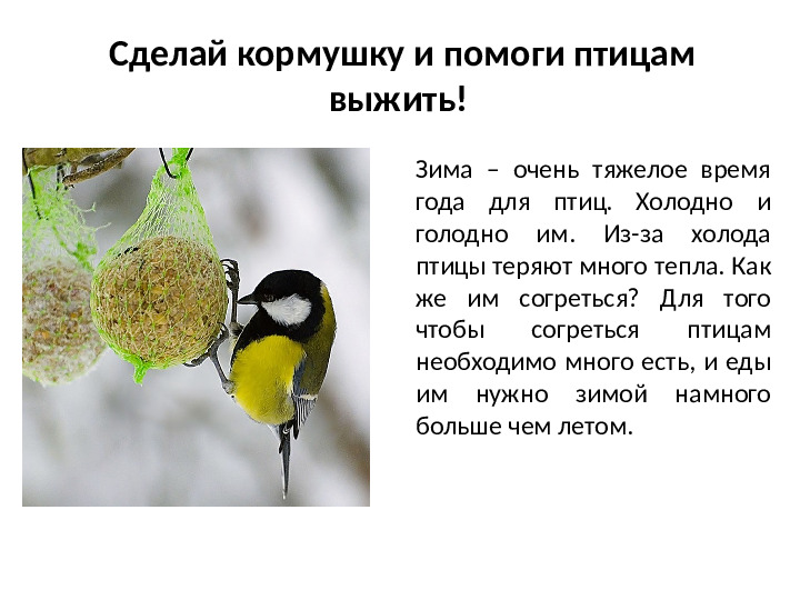 Презентация на тему Зимующие птицы для дошкольников
