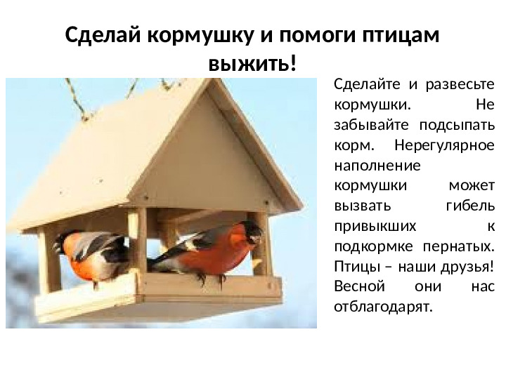 Презентация на тему Зимующие птицы для дошкольников
