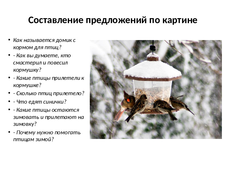 Презентация на тему Зимующие птицы для дошкольников