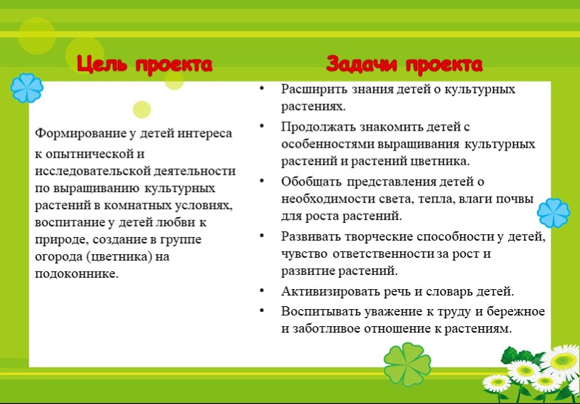 Познавательно исследовательский проект "От семечка к солнышку!"