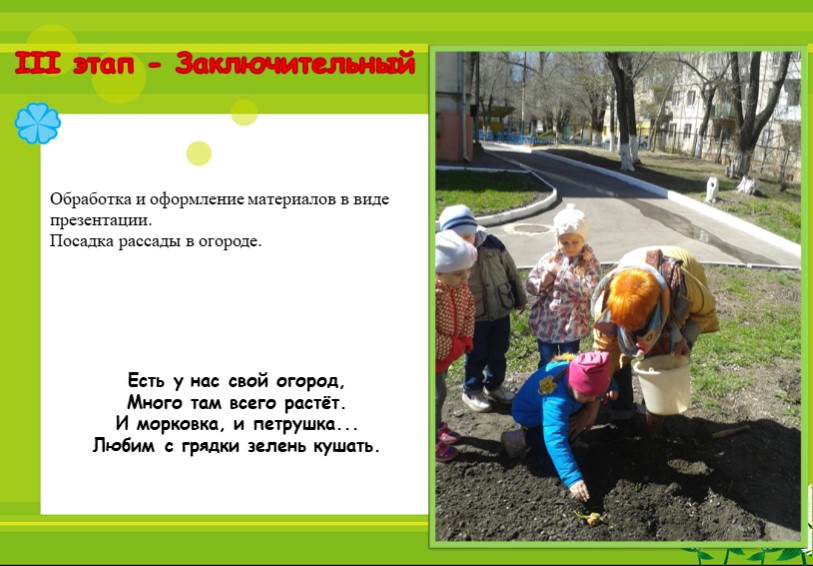 Познавательно исследовательский проект "От семечка к солнышку!"