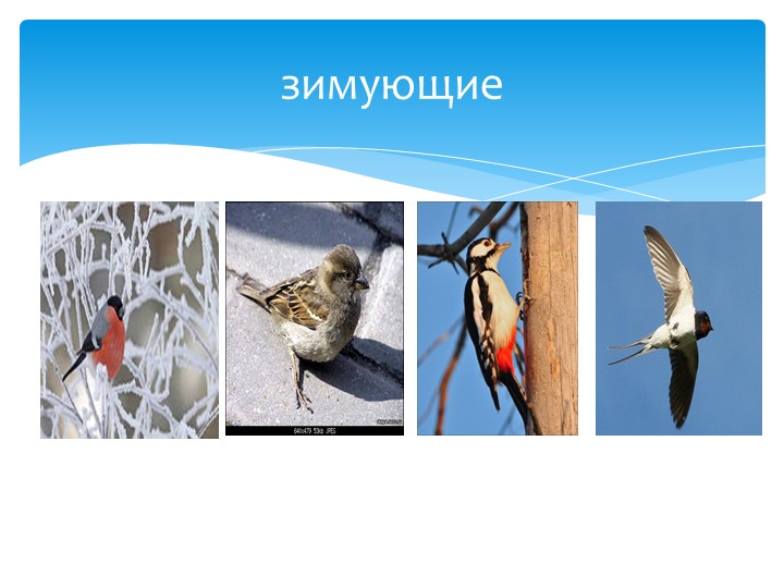 Логопедическое занятие для детей 5-6 лет "Зима"