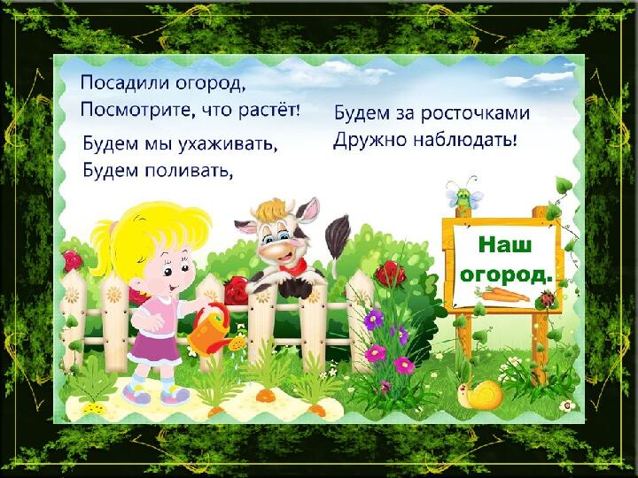 Презентация по познавательном развитию в ДОУ "Наш огород"