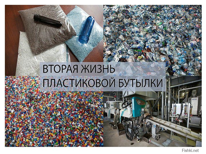 Презентация "Очистим родной край от мусора"