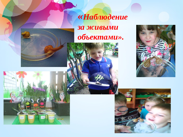 Презентация "Технология исследовательской деятельности"