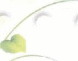 Shape1