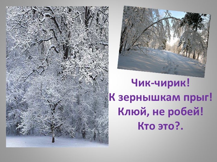 Презентация "Зимующие птицы Кузбасса"