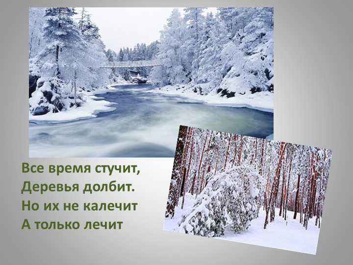 Презентация "Зимующие птицы Кузбасса"