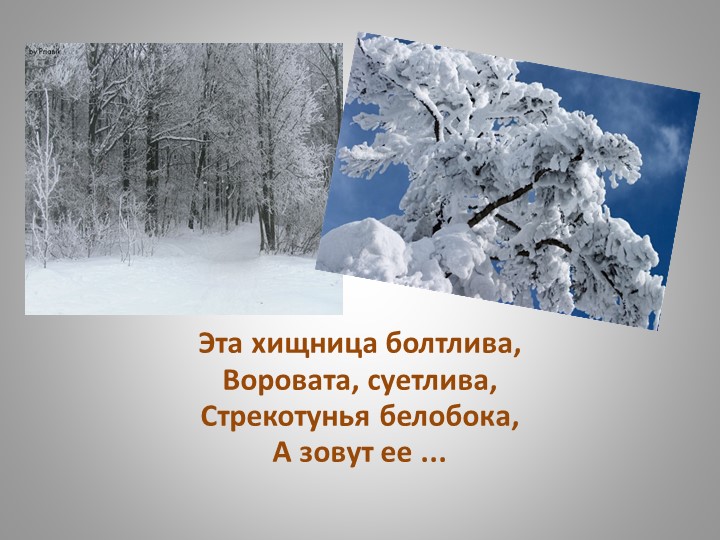Презентация "Зимующие птицы Кузбасса"